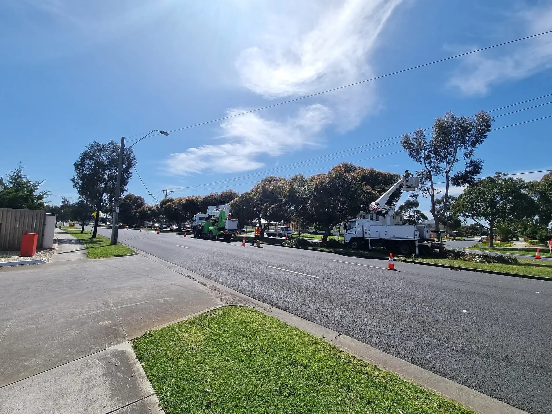 Arbtec crew trimming roadside trees with a bucket truck