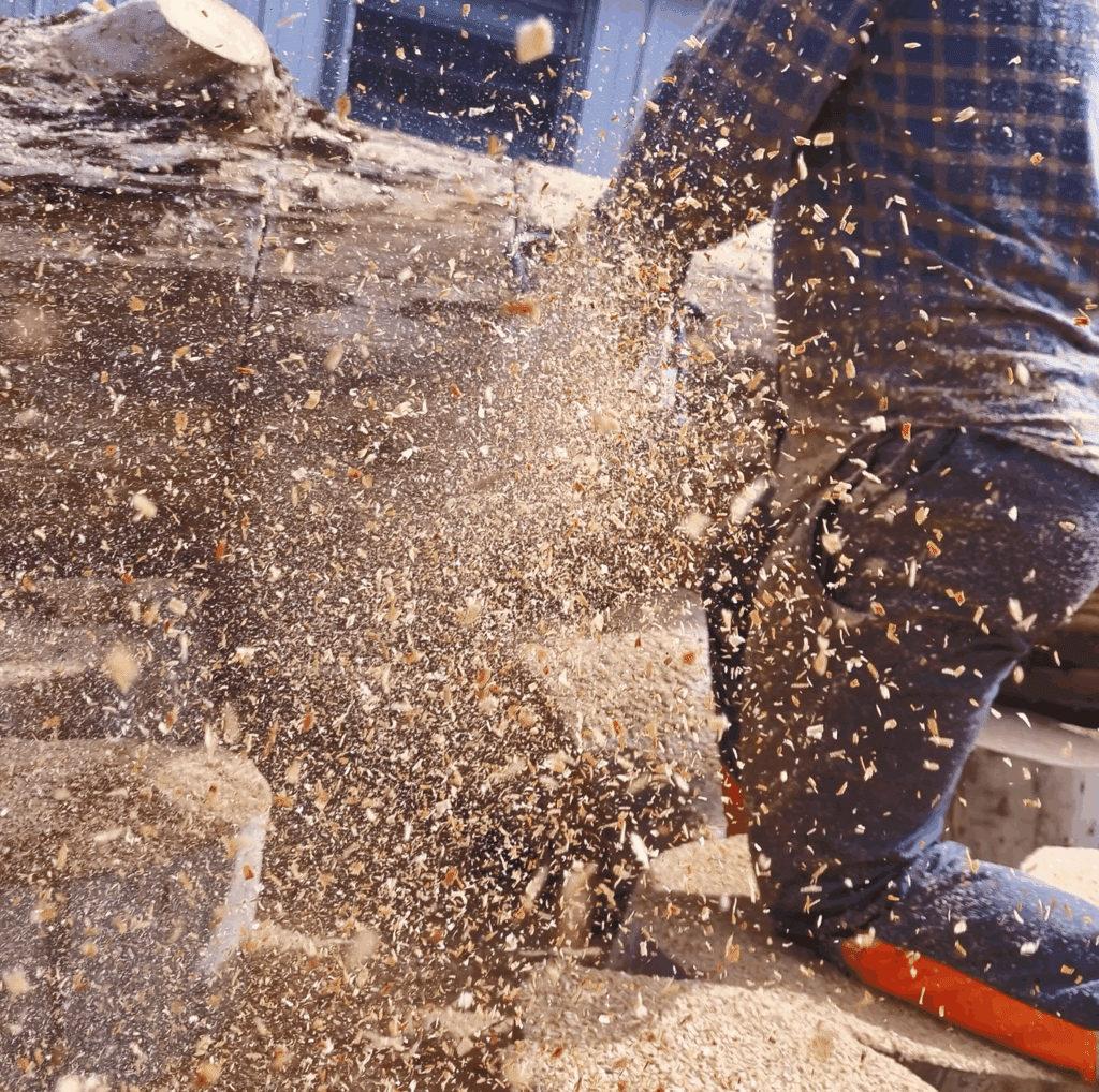 Woodcutter sawing tree trunk