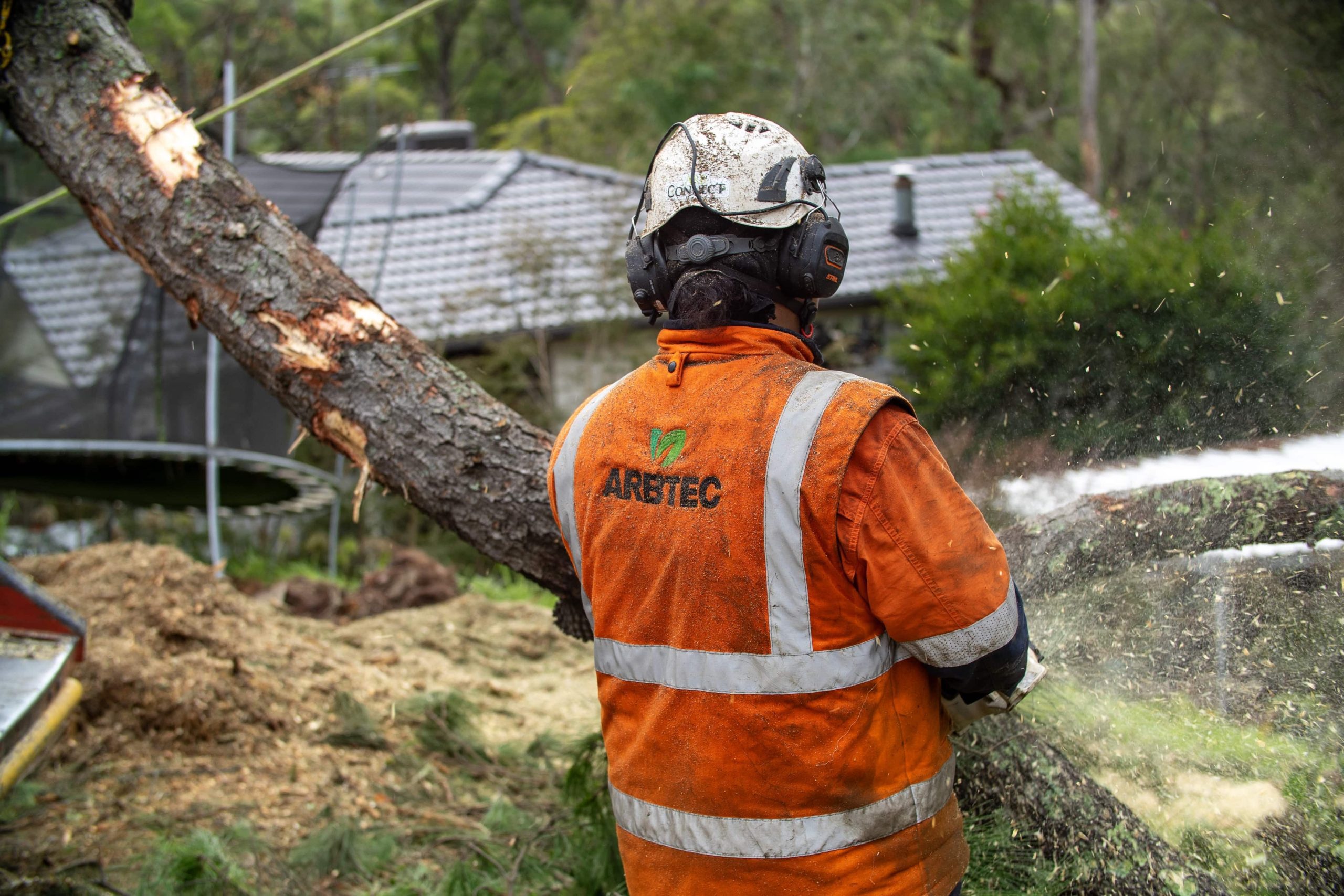 Arborist cutting tree trunk