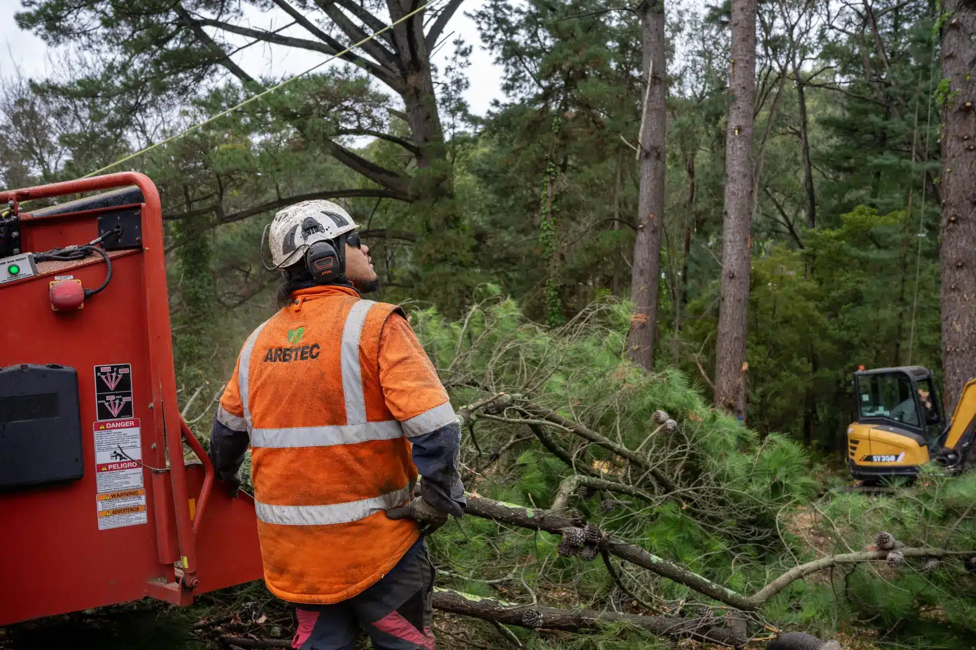 Tree cutter in safety gear