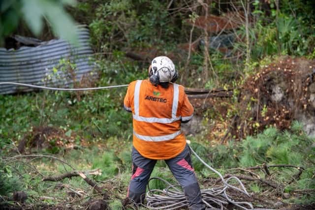 Worker pulls rope in woods